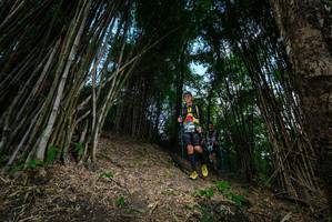 BIB: 
                            <button type="button" onclick="openModal(19395573)" class="btn btn-primary btn-sm float-right btn-popup" data-toggle="modal" data-target=".modal-high-quality">
                        <i class="fas fa-shopping-cart"></i> Add to Cart
                    </button>
                                            <button type="button" onclick="isThisMe(19395573, true)" class="btn btn-success btn-sm float-right btn-popup btn-isme hidden" data-toggle="tooltip" data-placement="bottom" title="นี่คือรูปของคุณใช่ไหม คลิกที่นี่เพื่อเอาเข้าอัลบั้ม">
                        <i class="fas fa-plus"></i> Add to album
                    </button>
                    <button type="button" onclick="isThisMe(19395573, false)" class="btn btn-warning btn-sm float-right btn-popup btn-isnotme hidden">
                        <i class="fas fa-ban"></i> Remove from album
                    </button>